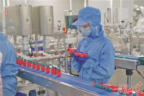 錨定 百千萬工程 開足馬力 加速跑 看庵埠鎮如何 強筋健骨 做優做強城區鎮