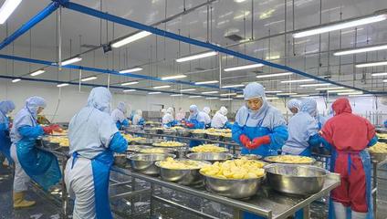 河北望都:全力推進食品產業高質量發展