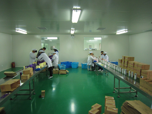 從化化妝品流水線、從化食品流水線、從化化妝品生產線