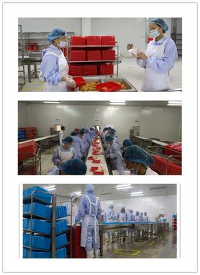 市老齡辦武金嶺走訪海南力合泰食品